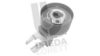 IPD 153081 Tensioner Pulley, timing belt